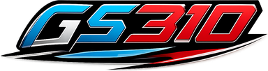 gs310